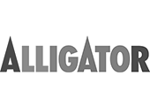 Alligator